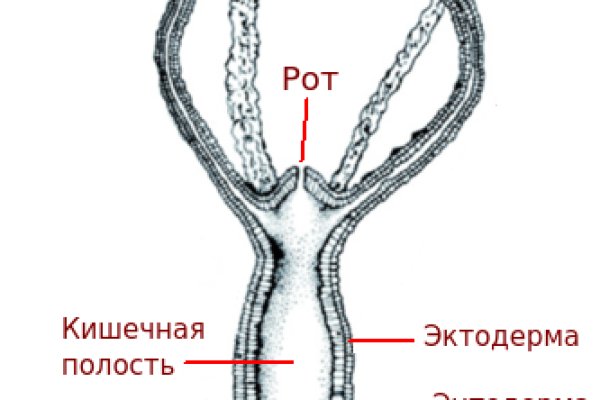 Кракен сайт вход официальный зеркало